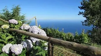 Ξενοδοχείο Agriturismo Mare E Monti