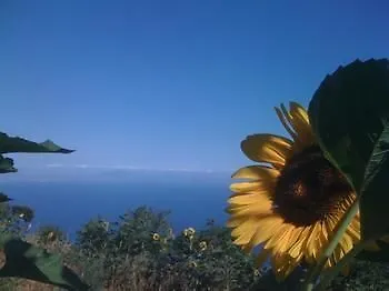 Agriturismo Mare E Monti Ξενοδοχείο