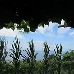 Agriturismo Mare E Monti 阿杰罗拉