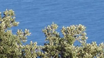 Hotel Agriturismo Mare E Monti *