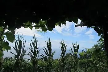 Agriturismo Mare E Monti Agerola